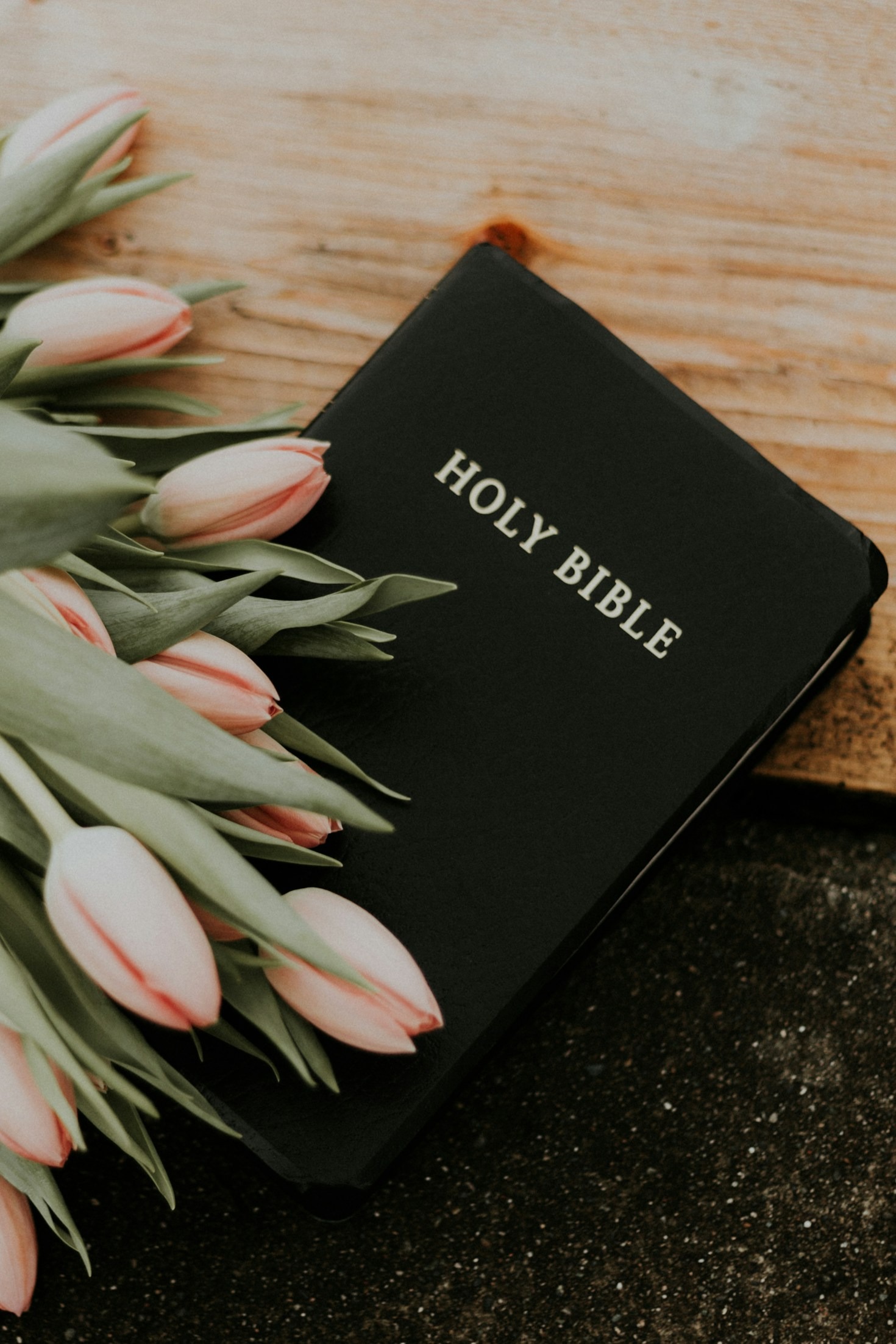 Encontre inspiração diária para sua caminhada espiritual